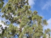 014-IMG_0012