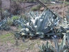 021-IMG_0021