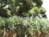 023-IMG_0024