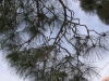 028-IMG_0031