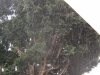 045-IMG_0045