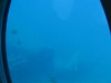 080-IMG_0087