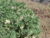149-IMG_0019_2