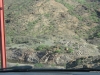 154-IMG_0026_2