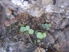 156-IMG_0029_2