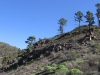 169-IMG_0043_2