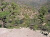 170-IMG_0044_2