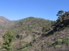 171-IMG_0045_2