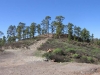 173-IMG_0047
