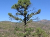 174-IMG_0048_2