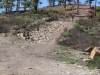 178-IMG_0052_2