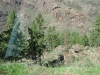 183-IMG_0060_2