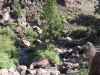 184-IMG_0062_2