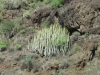 191-IMG_0069_2