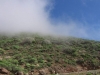 209-IMG_0089