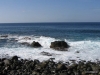 219-IMG_0101