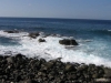 220-IMG_0102