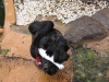 236-IMG_0003_2