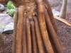 243-IMG_0010_2