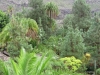 244-IMG_0011_2