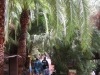 246-IMG_0013