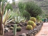 248-IMG_0015_2