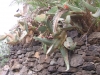 251-IMG_0018_2