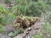 252-IMG_0019_3
