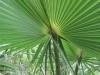 253-IMG_0021_3