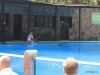 256-IMG_0027_3