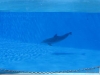 258-IMG_0030_3