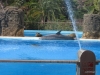 259-IMG_0031_3