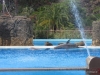 260-IMG_0032_3