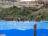 261-IMG_0033_3