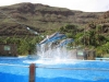 264-IMG_0040_4