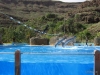 265-IMG_0041_4