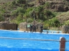 266-IMG_0042_2