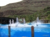 268-IMG_0048_3