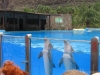 270-IMG_0051_3