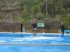 275-IMG_0056_3
