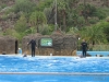 276-IMG_0057_3