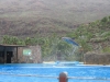 279-IMG_0060_3