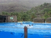 280-IMG_0061_2