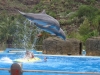 285-IMG_0068_3