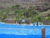 286-IMG_0070_2
