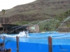287-IMG_0071