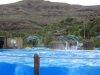 289-IMG_0075_2