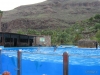 290-IMG_0076_2