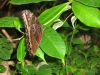 293-IMG_0086_3