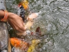 297-IMG_0090_3